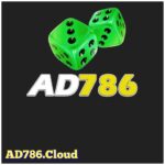 AD786 Game
